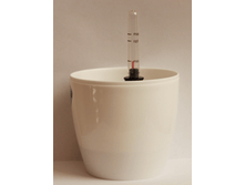 ����� ������ � �����������