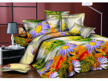 ������ �����