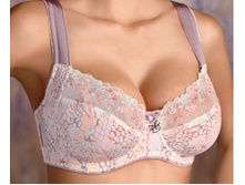 Ginger ����������� ��������� ��������� 1393,00