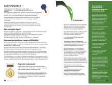 Small PDF Sengara 2015 25.jpg