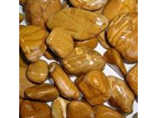 �������� ���������