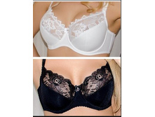 840 �. ���� �����������