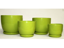 J02 �������