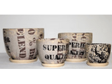 204SZ ������