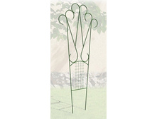 ������� ���������������