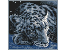 842 ���� 540�..jpg