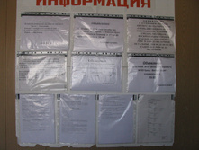 IMG 7447.jpg