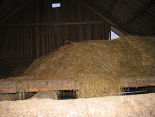 IMG 7460.jpg
