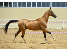 76 1433690759.5084.jpg