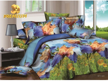 491 �����.jpg