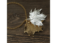 ������� "���� ��������� ���� " ������ - �������, ���������.