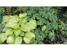 ��������������