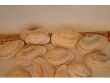 20 ���. - 10 ��