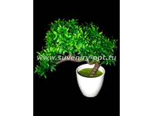 ������ �������, ��������� 26�� ��-5058 255���..jpg