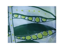 ��� ����