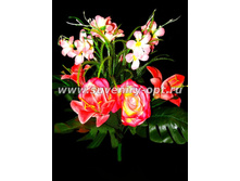 ����� ��� � ������� 49�� ��-4175 214���..jpg