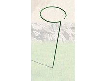 ����� ��� ������ �������