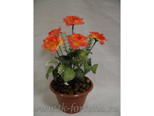 18-118� ������ � ������ "����" 30 ��., 5 �����, �����, �������, ������, ��������� 165.00 ����� ���� 175�