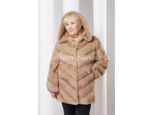 S-282 ���� ��������, ���� �������.jpeg