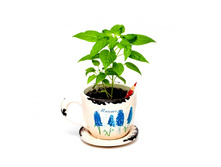 -��������� �����-700x700.jpg