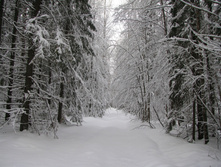 IMG 7500.jpg
