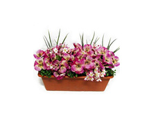 �155 ����������� ������ "������� ������" (�����) �155 ����������� ������ "������� ������" (�����) ------ ������� �������,��	40 �� ����,���. (��)	1001.00