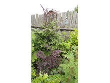 �������� ������