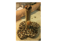 �� 325 ���  (35��) ���������� "��������"