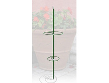 ������� � ������� ��������� 100.16.25