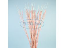 84325 ������� �� ����� �� ������ ������� 80 �� 130�.jpeg