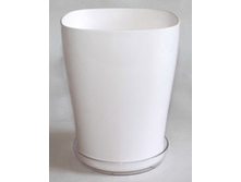 ���� �/�������� ���� �����