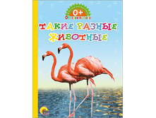 1448449055 b671ed2b41c686c0a37ada2143fd5204.png