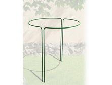 �������������� ���� �������