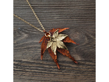 ����� "���� ��������� ����� " ���� - ������, ���������.