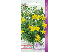 �������� �������������� ��������.jpg