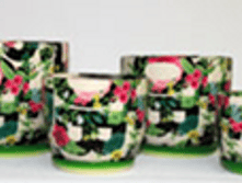 224 �������