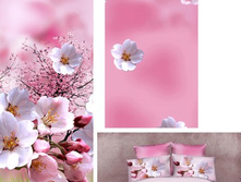 ������ � ���� 447