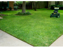 ����� ������� ����� - 27,5 ���. 30 ��. - ��� ����� ����� ����� � ������. �������� 10 ��..jpg