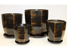 J1431 �������������