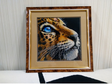 IMG 20160204 191603.jpg