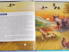 1453723598 17470333f7e14d06c3d5f00430ccde14.png