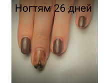 IMG 20160212 203314.jpg