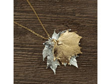 ����� "���� ��������� ���� " ������� - ������, ���������. ���������