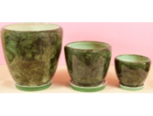 ����� ������� ���� �������