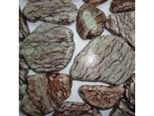 ��������� ����