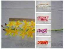 20-2025� ����� 100 �� 65,5�