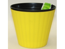 �����-������ ������ ����� ������� ������� � ��������