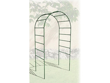 ���� ��������� � ���