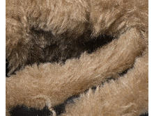 KB10206 Braun 5 enl.jpg