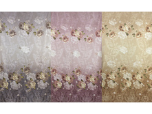 ������ �����